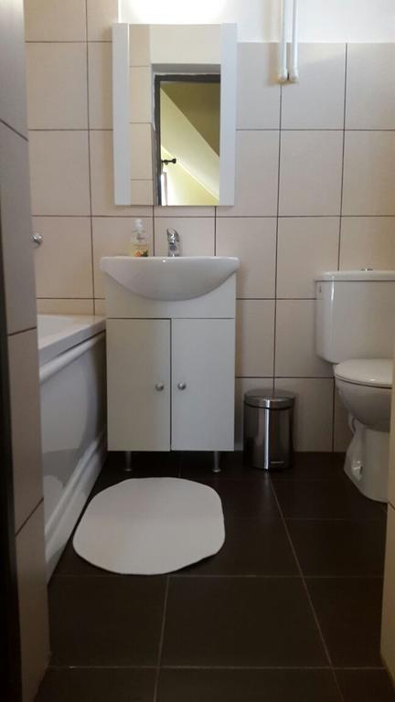 Pensiunea Family Zone Rosiori de Vede Bagian luar foto